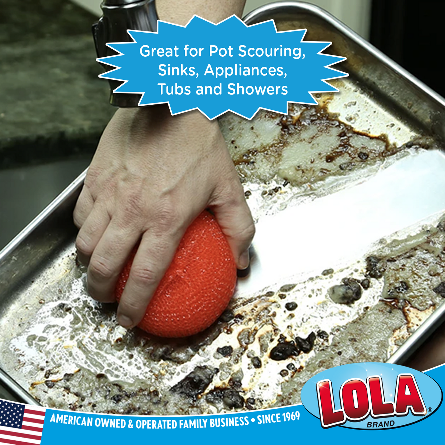 Plastic Mesh Scourer - 3 pack, each 3.75" x 1.25"