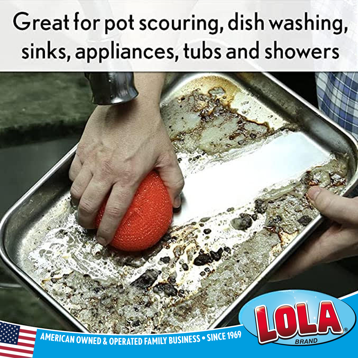 Plastic Mesh Scourer - 2 pack, each 3.375" x 1.25"