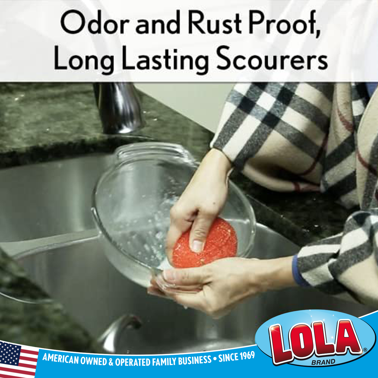 Plastic Mesh Scourer - 2 pack, each 3.375" x 1.25"